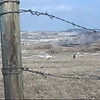 Pine Ridge Overseas Mission