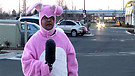 Bob the Bunny - Refuge Easter 2009 Teaser (HDV)