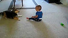 Cute Dog Plays With Baby