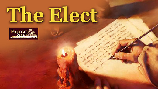 The Elect Service Preview