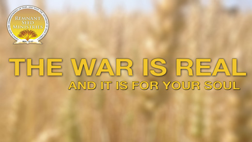 The War is Real Service Preview