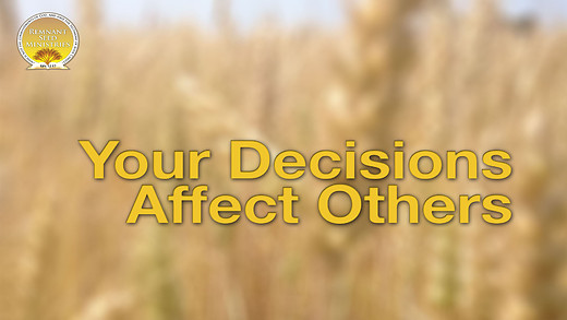 Your Decisions Affect Others