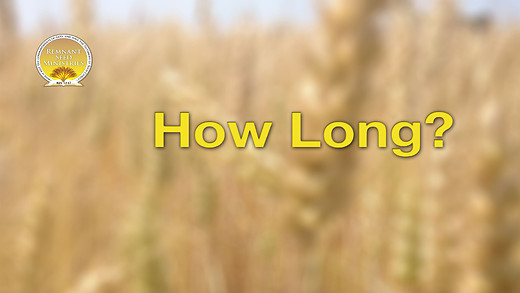 How Long Service Preview