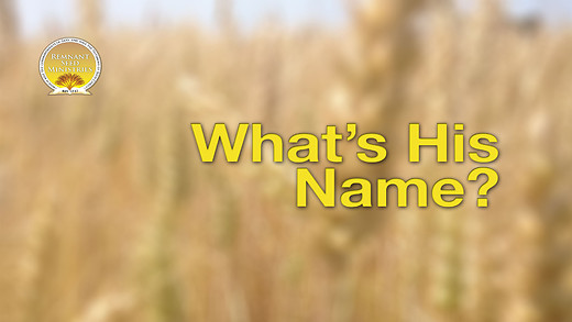 What's His Name Service Preview