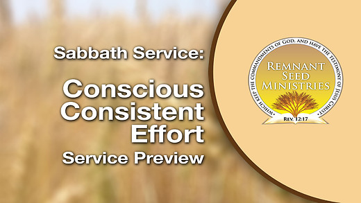 Conscious, Consistent Effort Service Preview