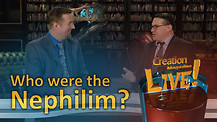 (7-14) Who were the Nephilim?