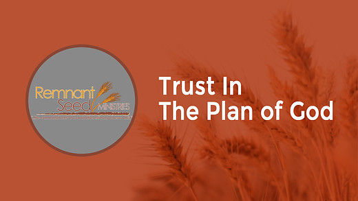 Trust In The Plan of God