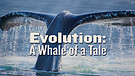 Evolution: A Whale of a Tale