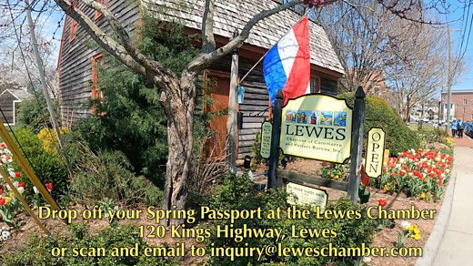 Lewes Spring Passport