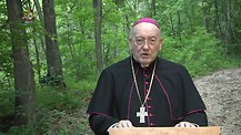 El perdón de las injurias - Monseñor Jean Marie, snd les habla