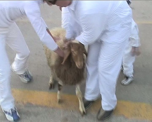 Samaritan Passover in Israel