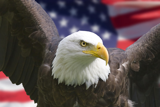 Is Liberty Threatened in America? Part 1