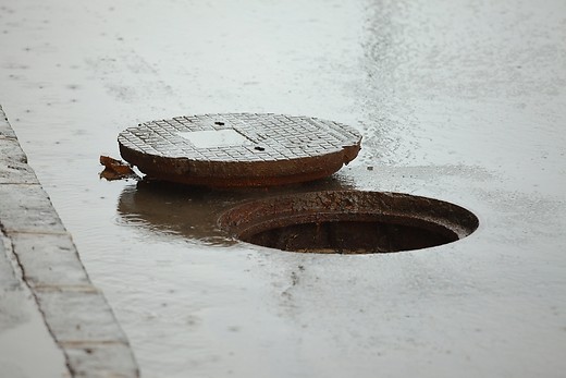 How to Survive in a Sewer