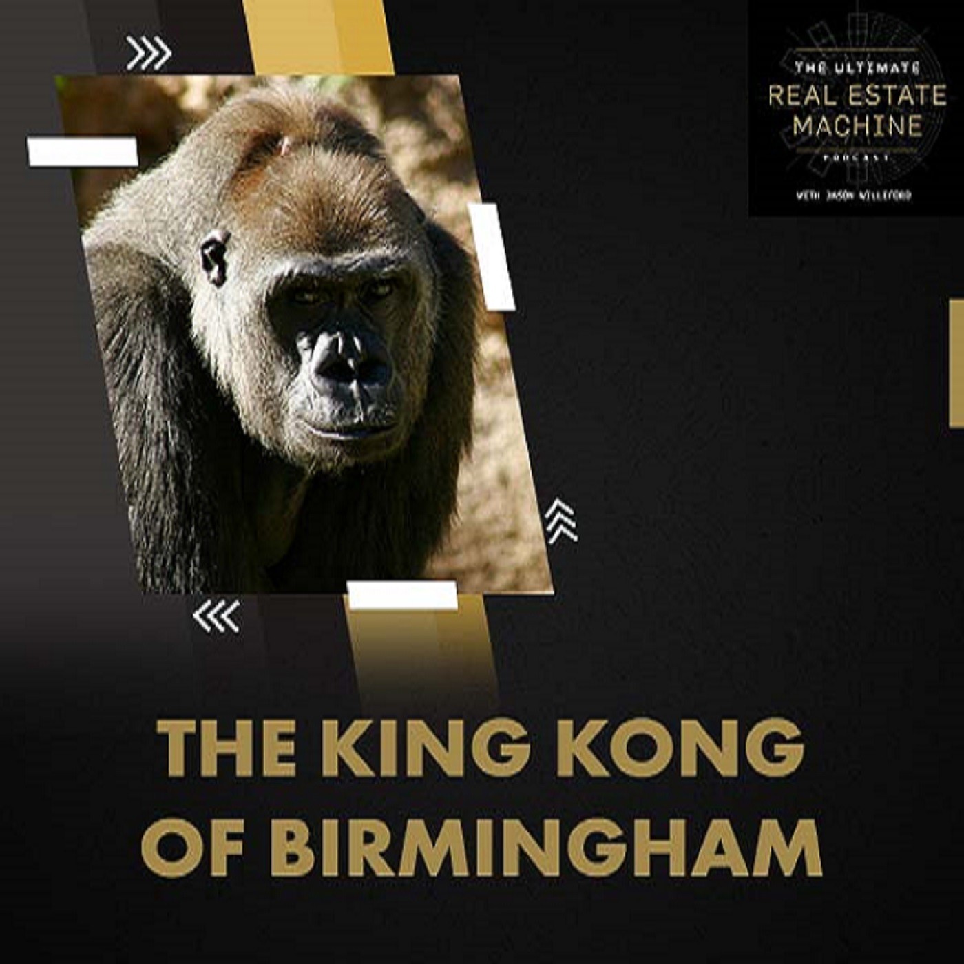 E8 | The King Kong Of Birmingham