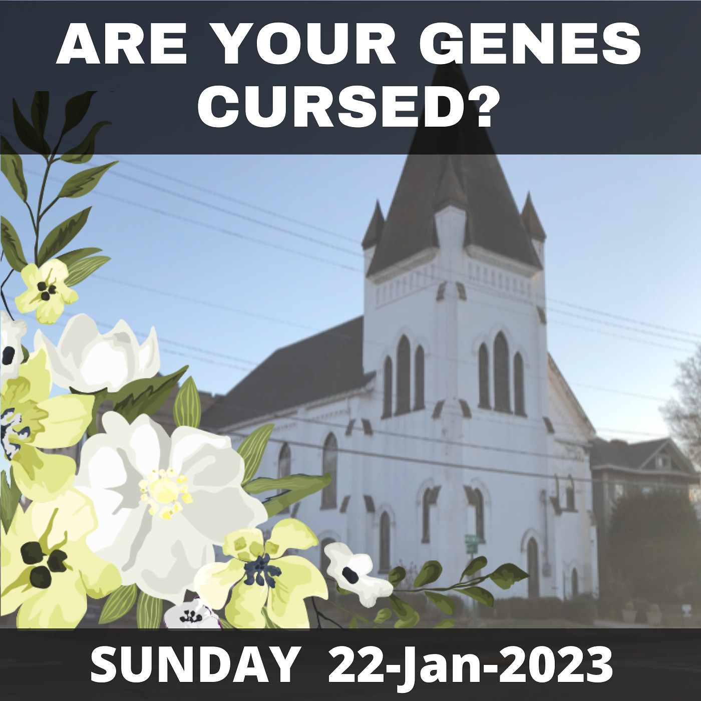 Are Your Genes Cursed? Breaking Generational Curses Pt.2 of 2 Jan22.23