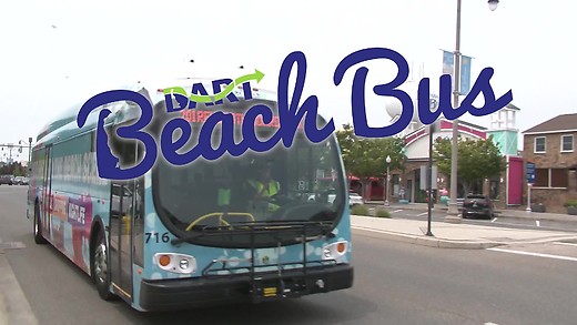 204 Yellow Line Beach Bus